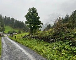 Bergün, Albulatal, Graubünden
