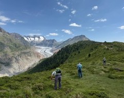 Aletschwald, Oberwallis**, Wallis