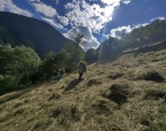 Cavaione, Val Poschiavo, Graubünden