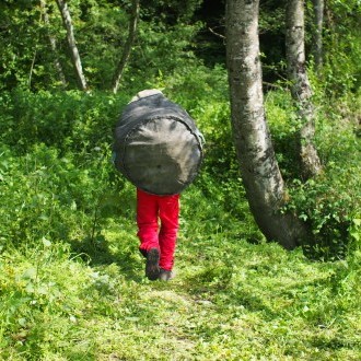 Invasive gebietsfremde Pflanzen