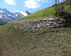 Fellenrüti, Engelberg, Obwald